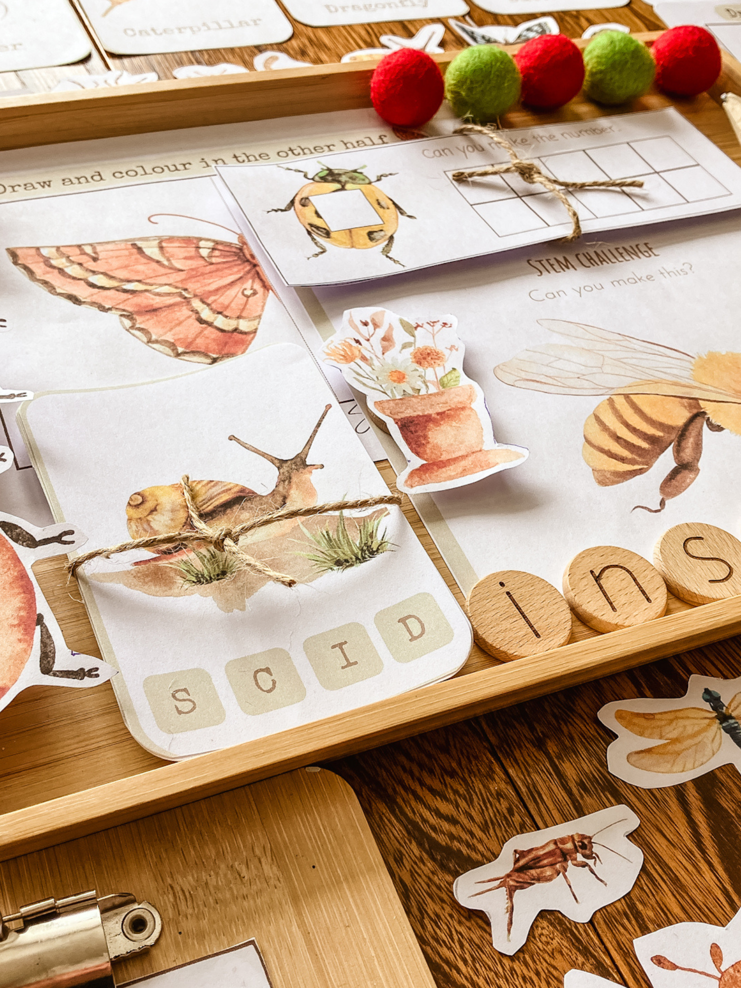 Insect Symmetry Activity