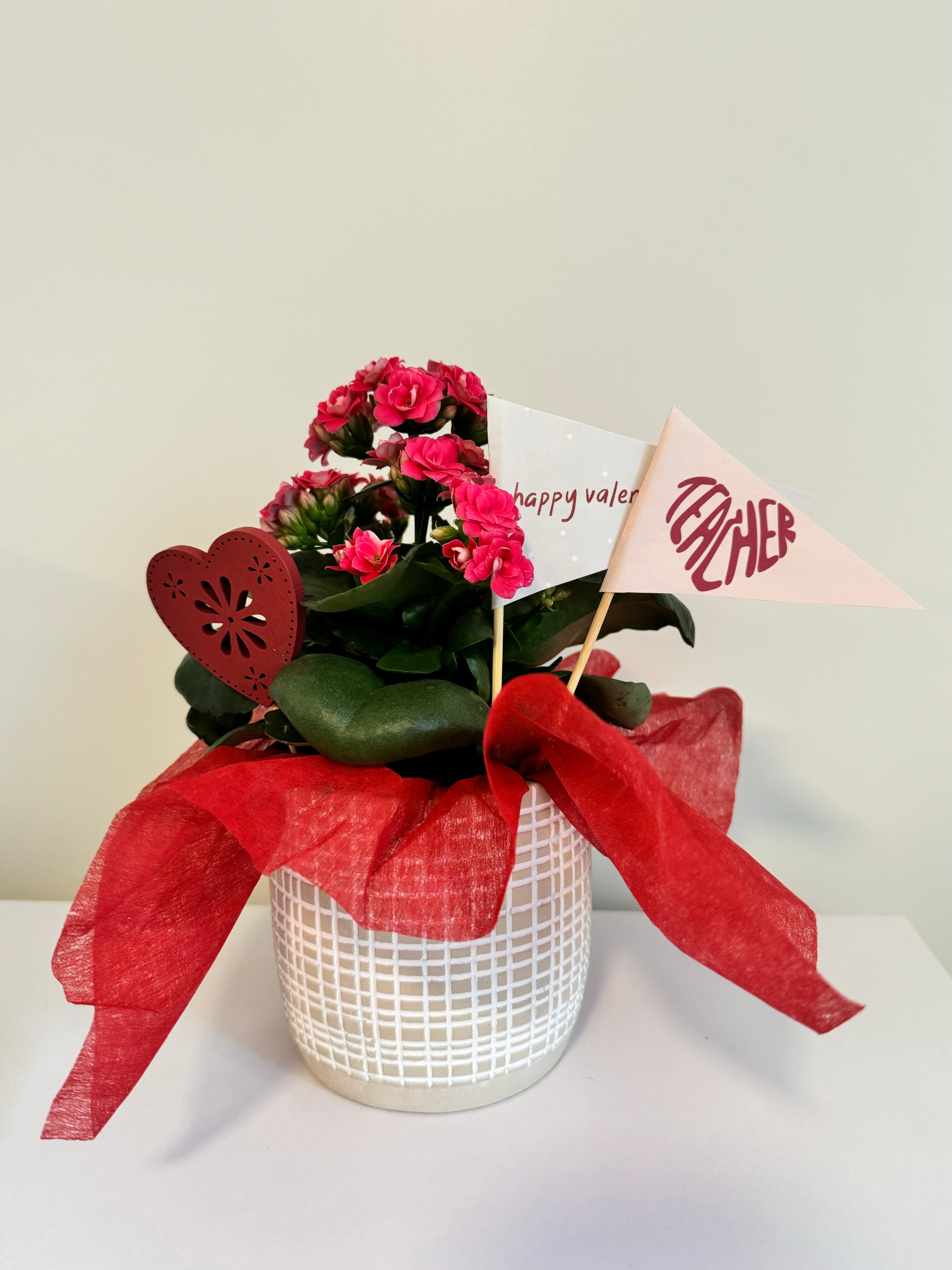 Teacher, Bestie and Brother Valentine Pennant Flags