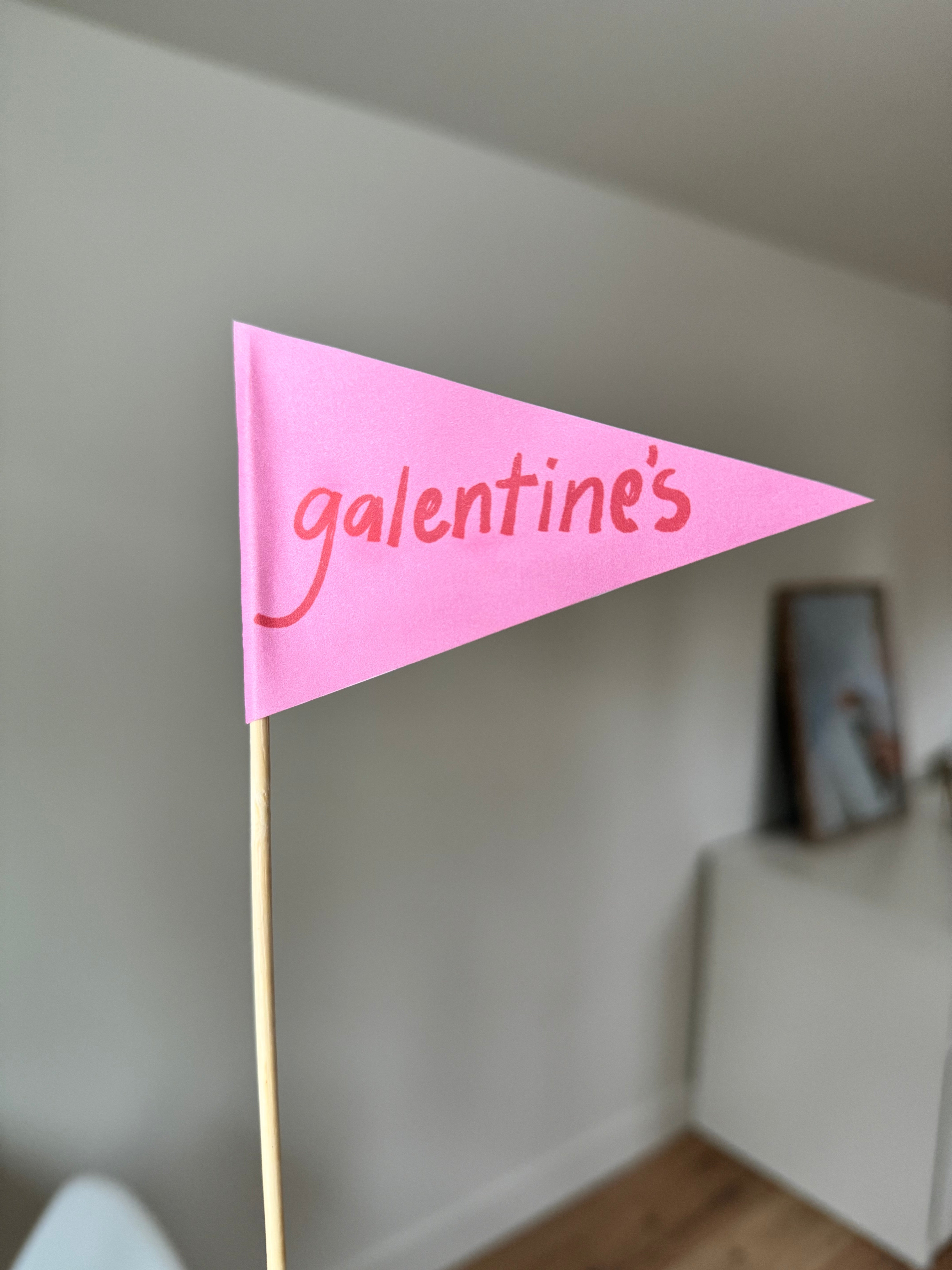 Galentine's Day Pennant Flags