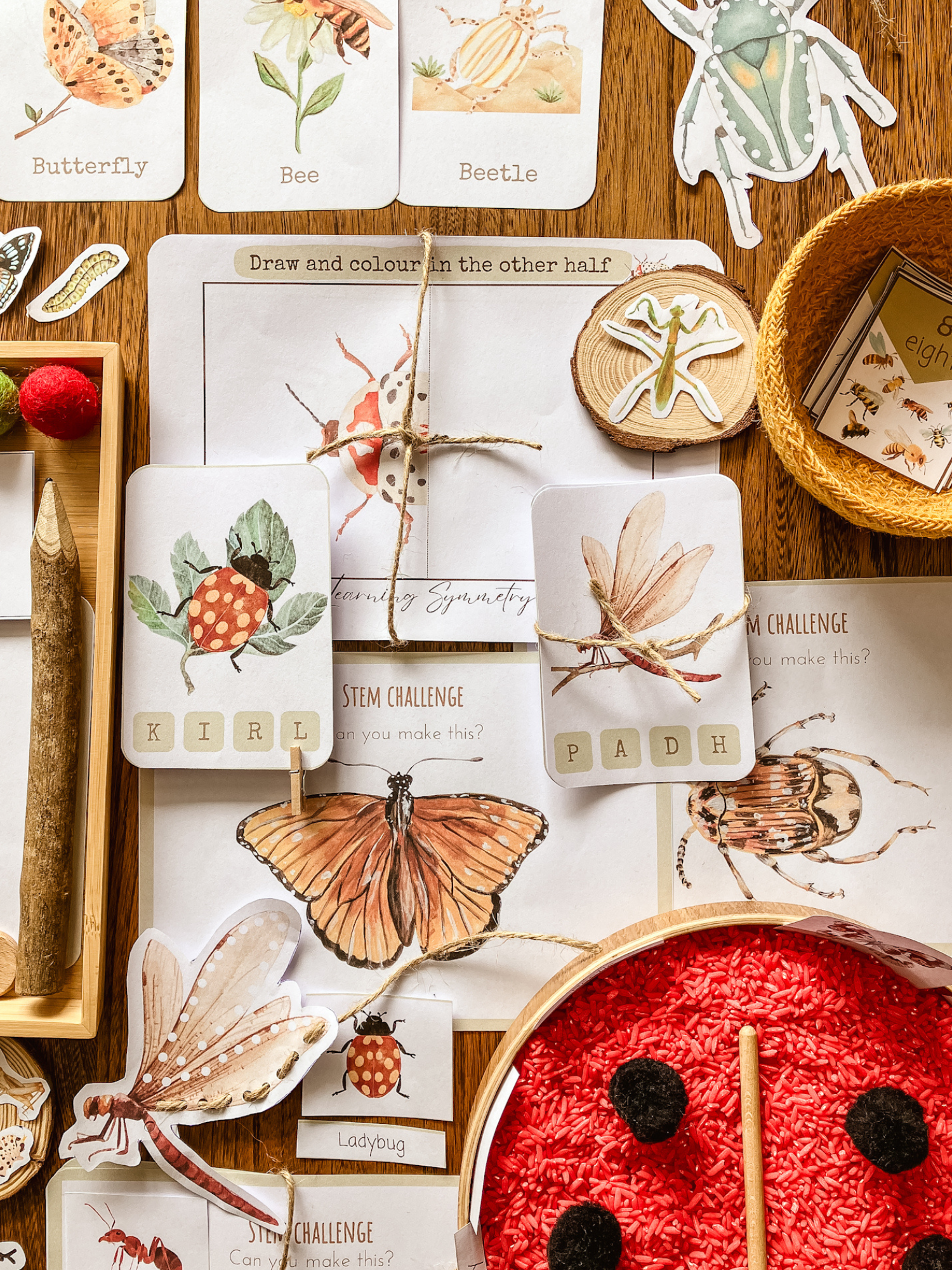 Math Butterflies