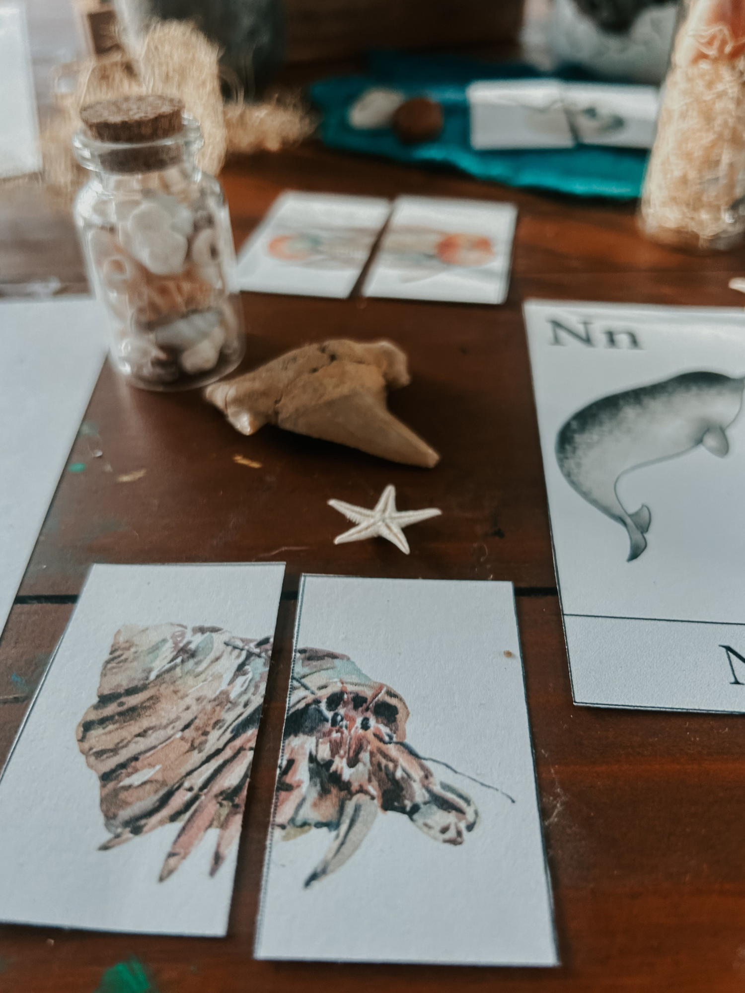 Ocean Animal Matching Puzzle Game