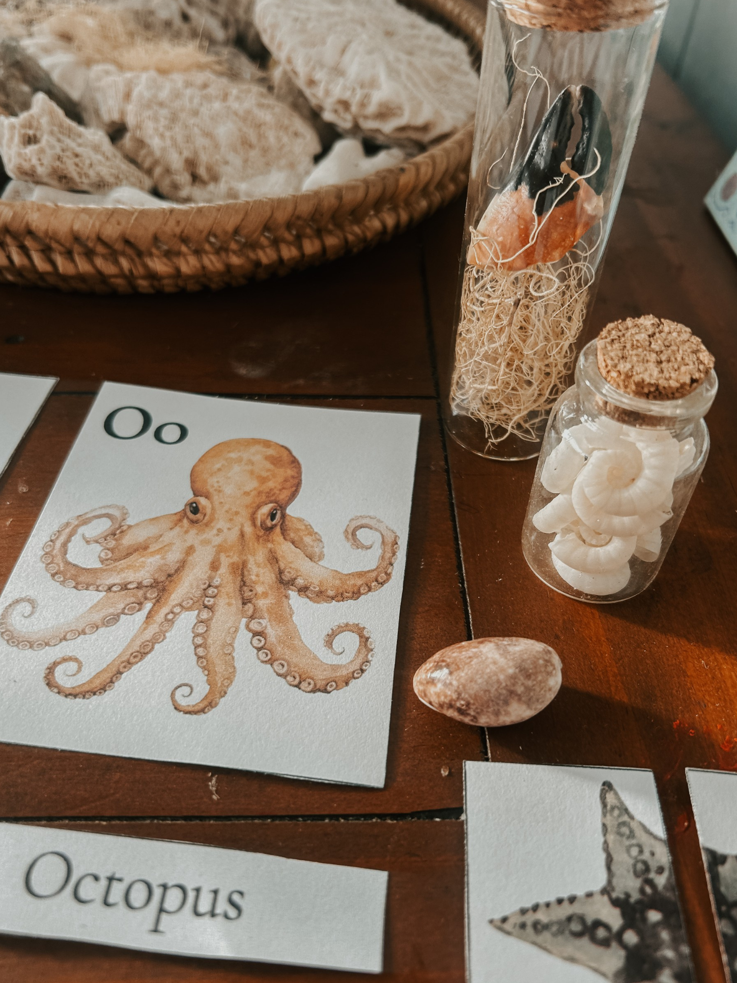 Watercolor Ocean-Themed Alphabet Flashcards